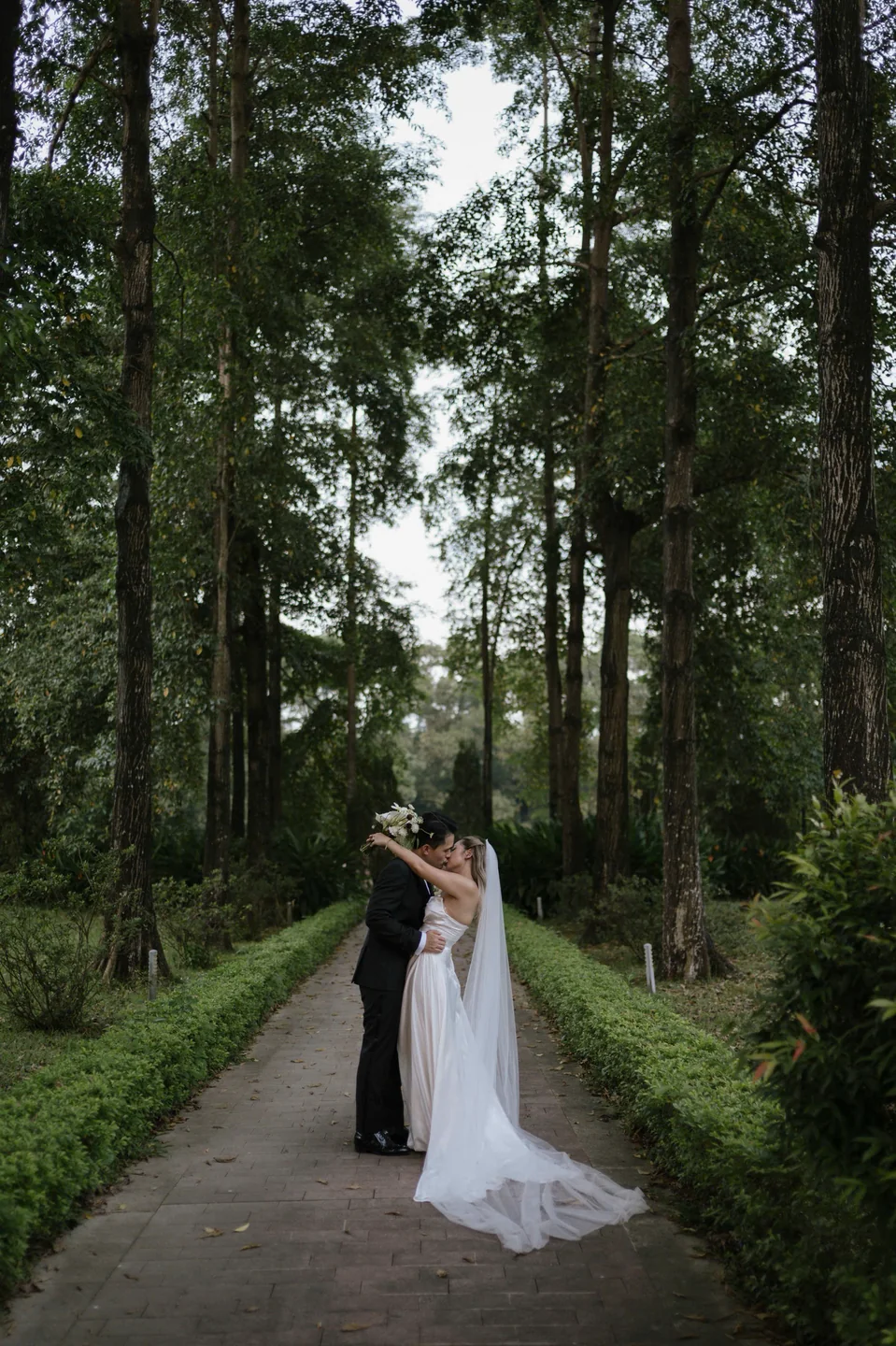 Cô dâu chú rể bên nhau trên lối đi giữa rừng cây
